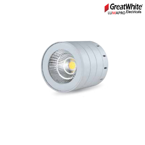 LED COB Surface Down Light (CDL-6000K 10W)